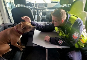 Zdjęcie przedstawia policjanta z psem.