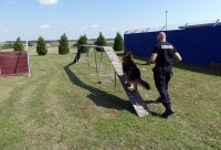 W Prudniku odbyły się ćwiczenia przewodników psów służbowych. Tym razem w ramach szkolenia ćwiczono m.in. posłuszeństwo, pokonywanie przeszkód terenowych oraz wykrywanie zapachów narkotyków i materiałów wybuchowych. W ćwiczeniach oprócz prudnickich policjantów brali również udział funkcjonariusze z Nysy, Krapkowic, Głubczyc oraz Opola.
