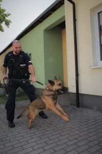 Przewodnik psa służbowego stoi z owczarkiem niemieckim